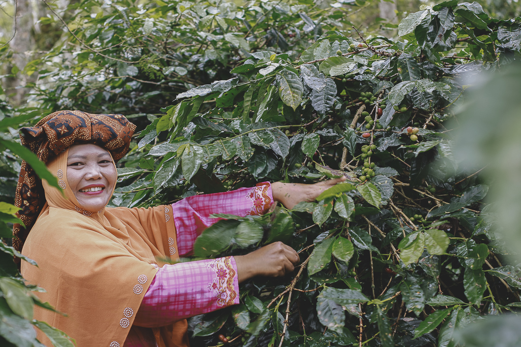 Ine Murni yang bilang kak Sabariah orangnya sangat meriah kalau ngutip kopi. (Foto Breedie/Fauzan My)