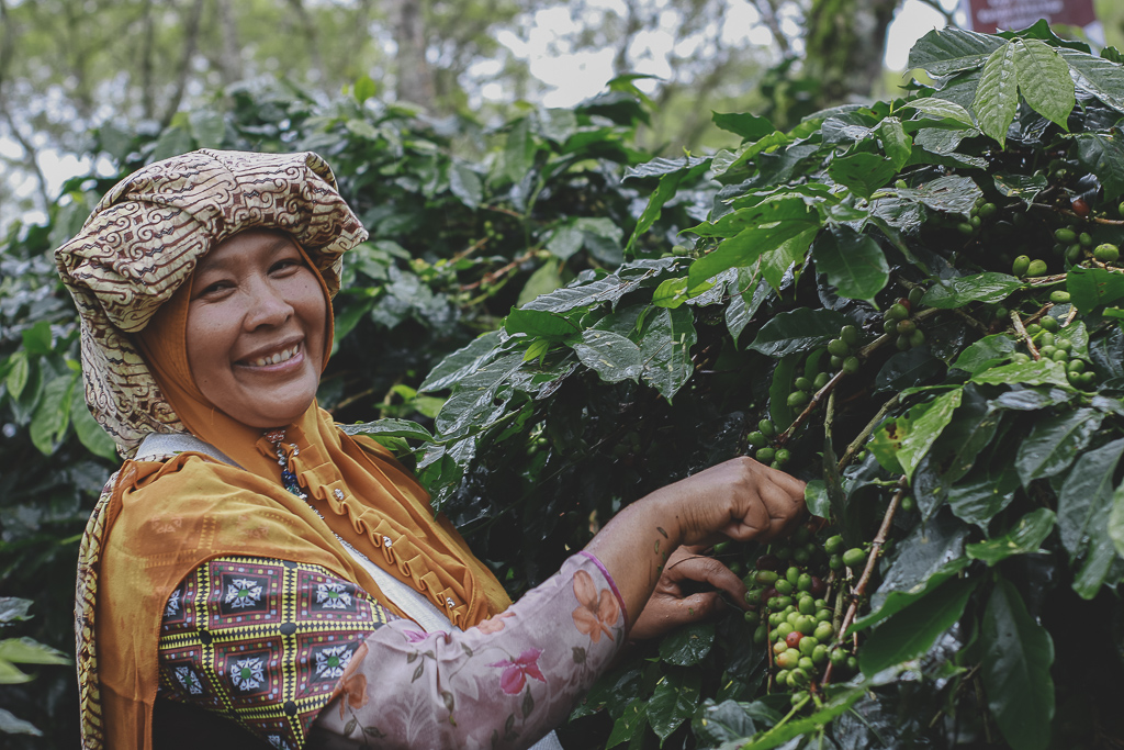 Sabariah petani kopi Desa Rembele, tidak ada dia tak heboh kata ibu yang dibawah ini. (Foto Breedie/Fauzan My)